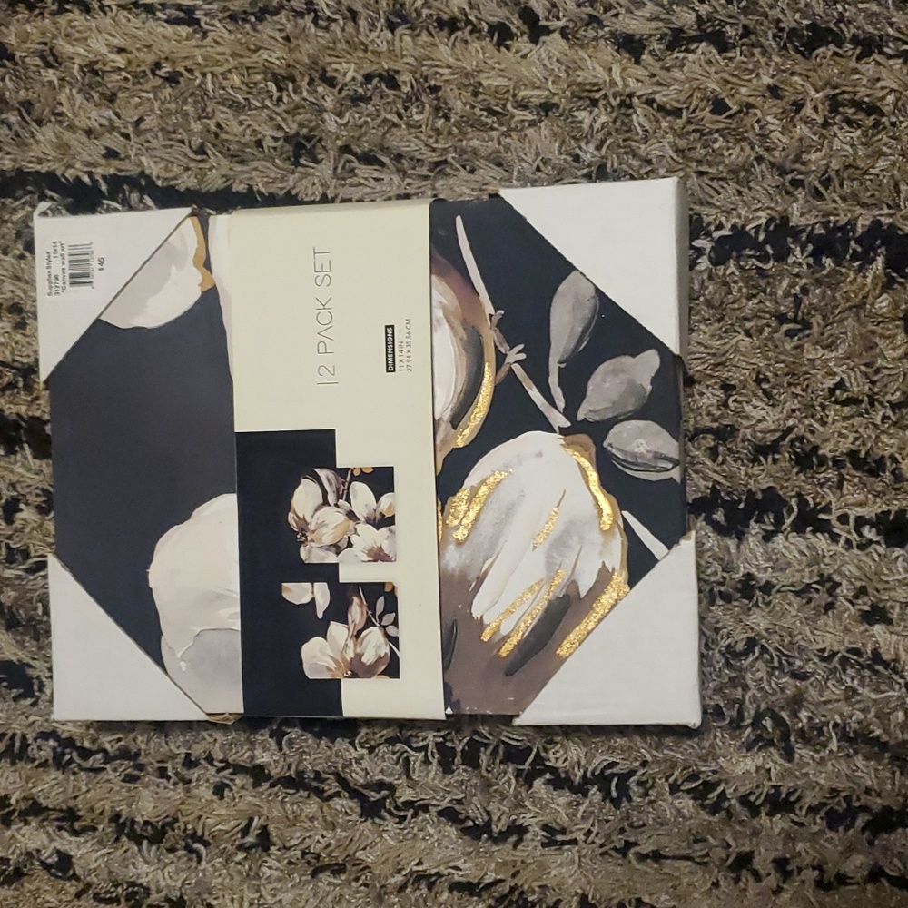 Canvas wall art 2 pack set